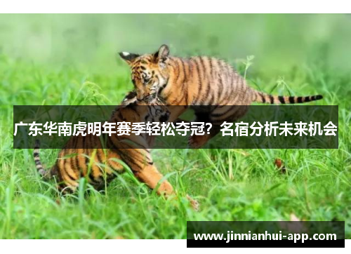 广东华南虎明年赛季轻松夺冠？名宿分析未来机会